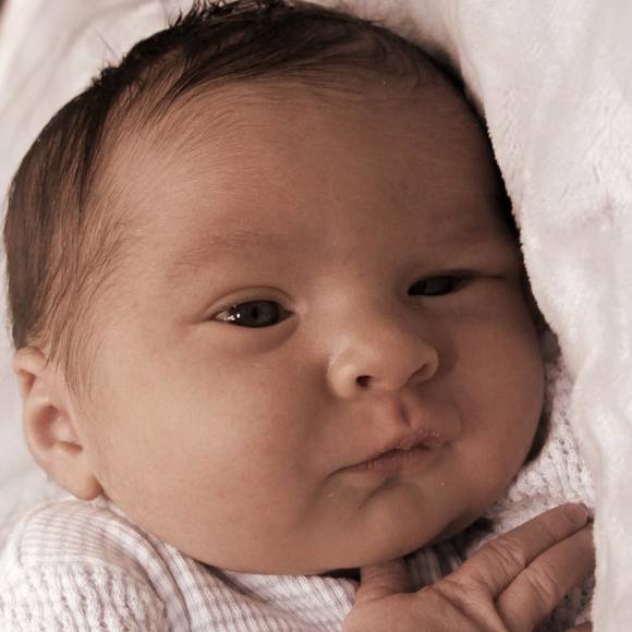 Meet your Posher, Dawn - Picture 1 of 1